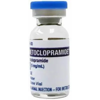 Metoclopramide Injection
